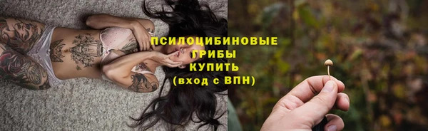 мяу мяу мука Саяногорск