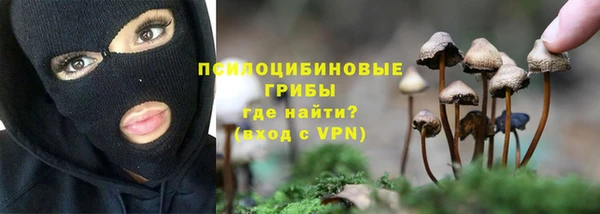 прущая мука Алзамай
