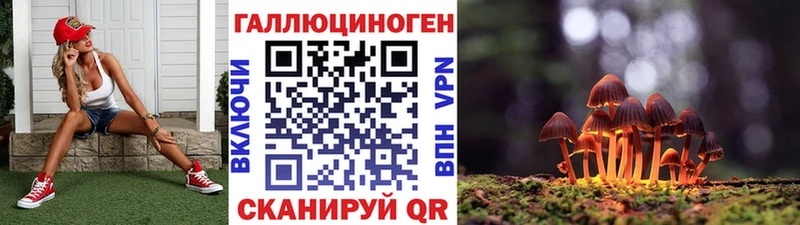Псилоцибиновые грибы MAGIC MUSHROOMS  Дмитриев 